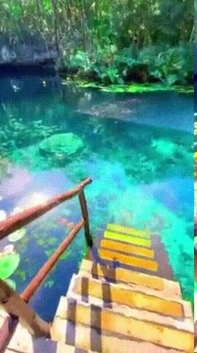 cenote,mexico,agua,relax,cristalino