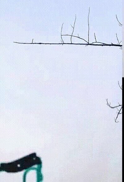 Enlace a Entrenando con un tirachinas en el jardín de casa