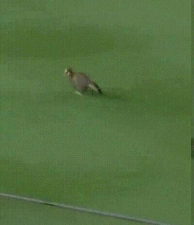 Enlace a Me encanta cómo se le ven los ojos a cámara lenta