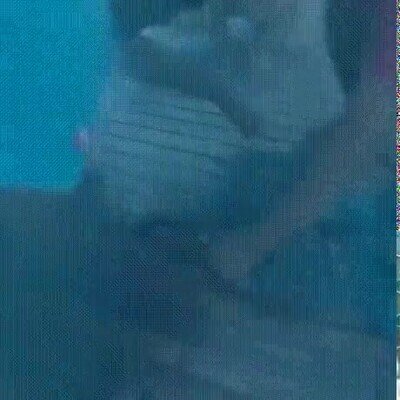 Enlace a Salvando la vida de una tortuga