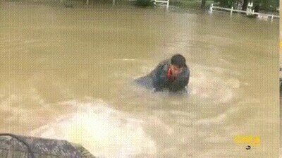 Enlace a Salvando a su muer y al perro en el último segundo