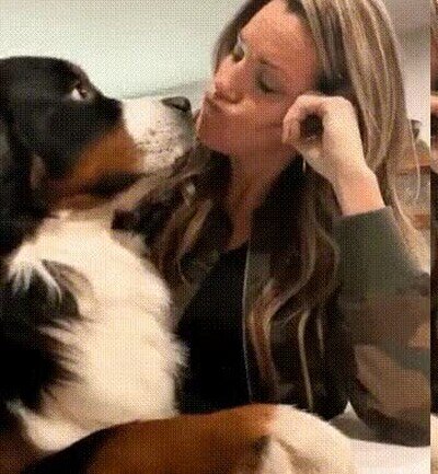 Enlace a Lo más adorable que verás hoy