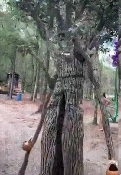 mejores,cosplays,árbol