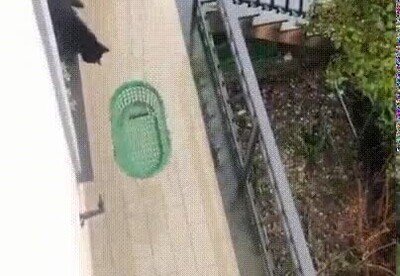 Enlace a Firulais, es hora de comer