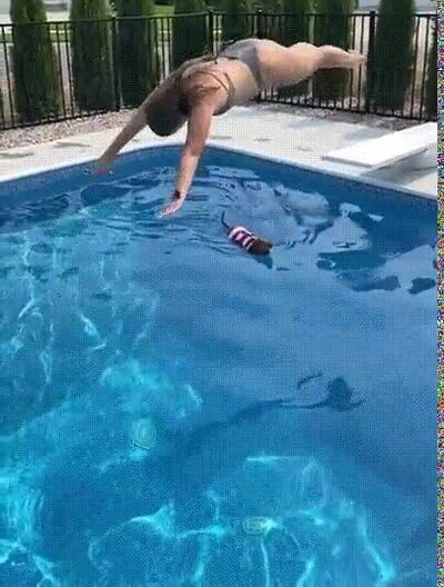 Enlace a No le da ni una sola gota al cachorro