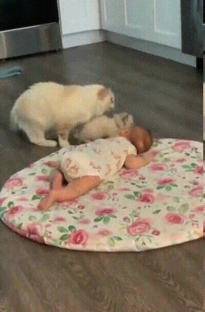 Enlace a Vengo chicos, deberías ser amigos