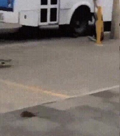 Enlace a Es peligroso pasear cerca de skaters