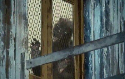 esperar,repartidor,pizza