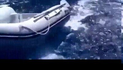 Enlace a La naturaleza puede dar mucho miedo