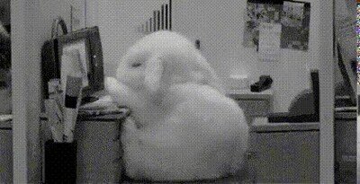 Enlace a Después de un largo día trabajando