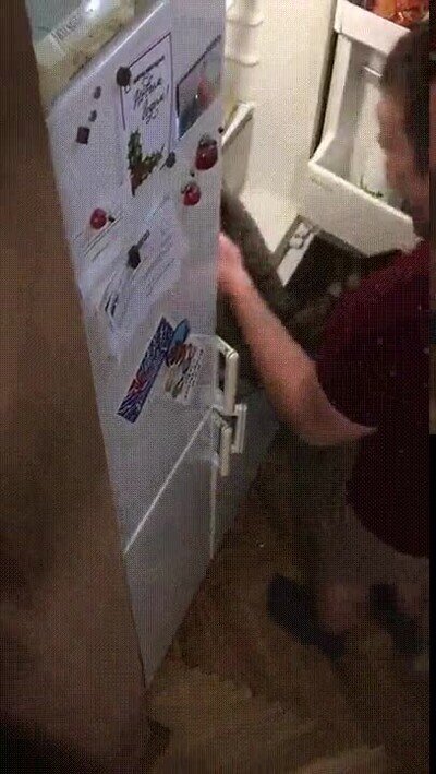 Enlace a Cada vez que abro la nevera