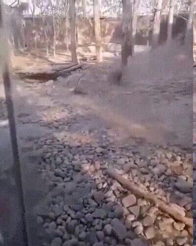 Enlace a Métete con uno de tu tamaño