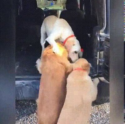 Enlace a El trabajo en equipo lo puede todo