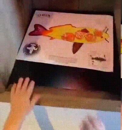 acuario,peces,dibujo