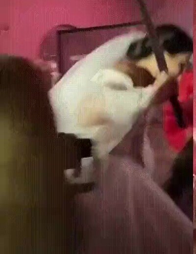 Enlace a Las bodas en Rusia son una locura