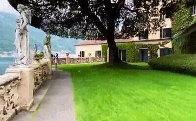 Enlace a La forma de este árbol es una pasada 