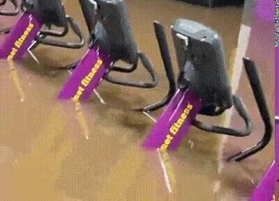 Enlace a Por fin han puesto una piscina en mi gimnasio