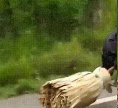 Enlace a Las brujas existen en la vida real