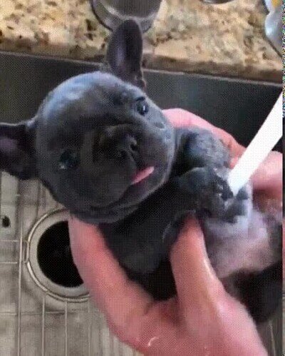 Enlace a El momento más relajante del día