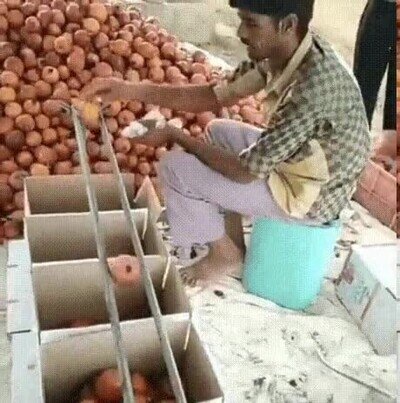 Enlace a Truco para ordenar por tamaño de forma fácil