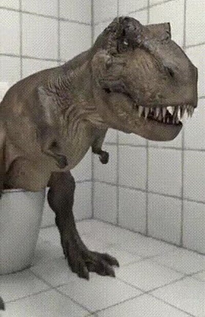 bracitos,wc