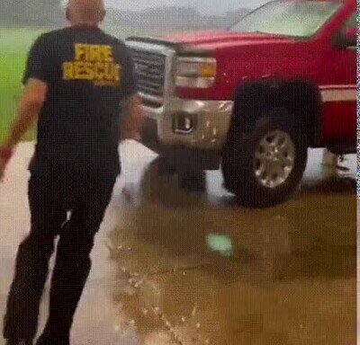 Enlace a La fuerza de la naturaleza