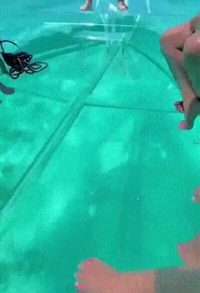 Enlace a El futuro son los barcos transparentes