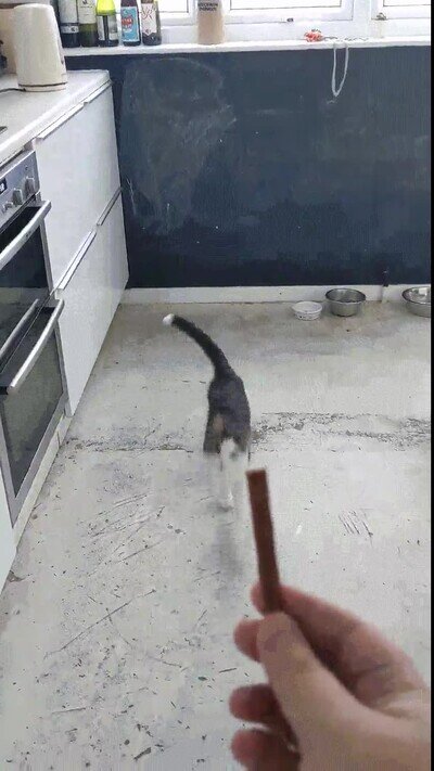 Enlace a Cuando llega la hora de la merienda