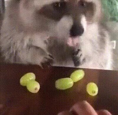 tocar,uvas