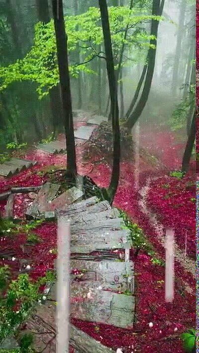Enlace a La naturaleza a veces nos deja imágenes preciosas