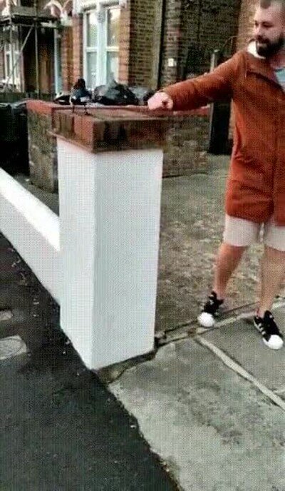 esperar,salto,pajaro