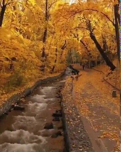 oto&ntilde;o,paisaje,precioso