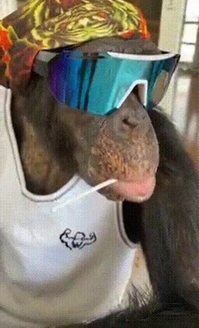 Enlace a Hemos vuelto a los años 80