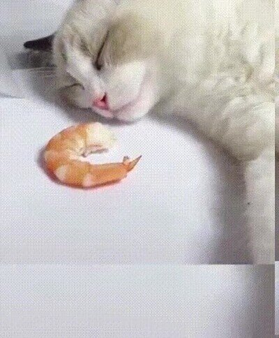 Enlace a A veces los sueños se hacen realidad