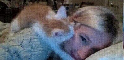 adorable,gato,besos