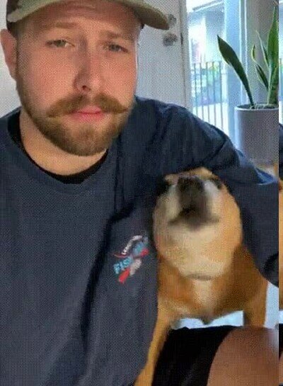 Enlace a Solo me pasaba para decir hola