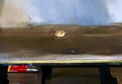 Enlace a Animando el ciclo una flor