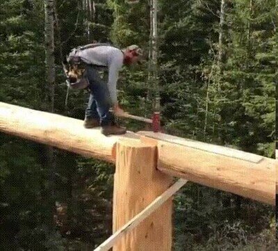 Enlace a El mejor trabajo del mundo