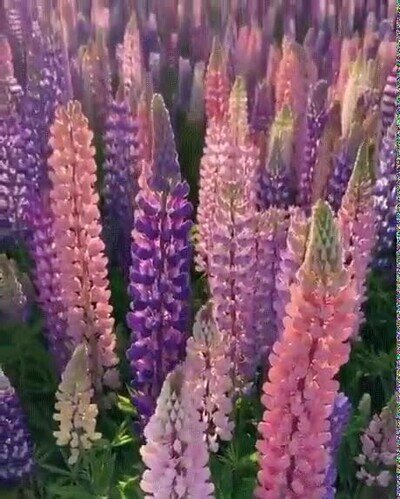 paraiso,paisaje,bello