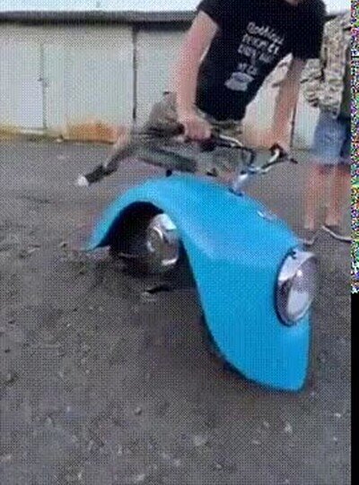 Enlace a No creo que pueda llegar muy lejos