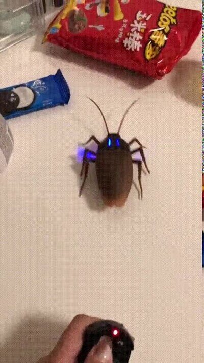 Enlace a Para asustar a tu compañero de trabajo