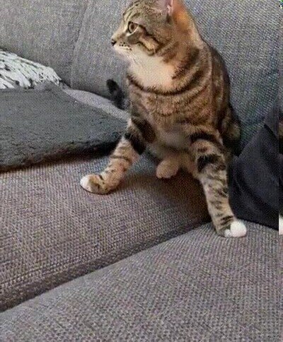 Enlace a ¿Una siesta demasiado larga o una crisis existencial?