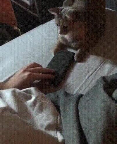 Enlace a Tiene el tamaño perfecto