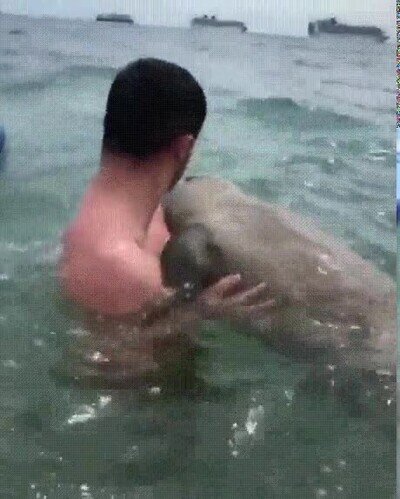 Enlace a Por fin ha encontrado a la sirenita