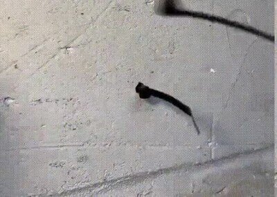 instalación,cables