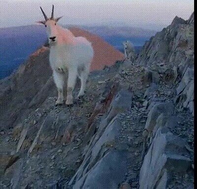 Enlace a Imagina encontrártelo en la cima de una montaña
