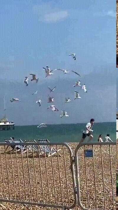 Enlace a Cuando los de un curso mayor te piden el desayuno