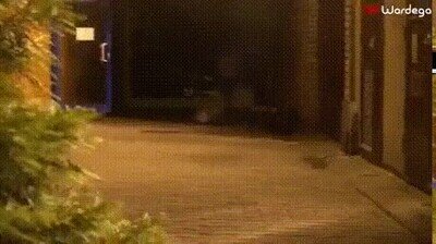 Enlace a Ha llegado el momento más temido del año