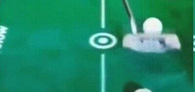 Enlace a El gato le guarda absolutamente todas las pelotas