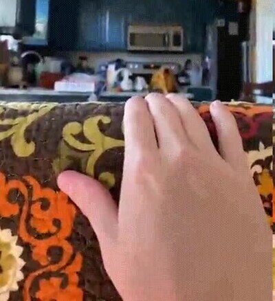 Enlace a El monstruo de las profundidades ataca de nuevo